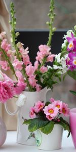 Flowers,Beauty,Ranunculus,Ranunkulus,Levkoy,Gillyflower,Primrose,Orchid