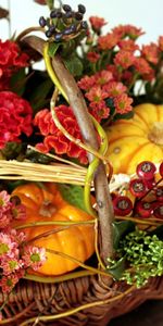 Flowers,Berries,Basket,Amaranth,Composition,Pumpkin