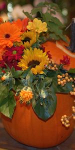 Flowers,Berries,Gerberas,Bouquet,Composition,Sunflower,Pumpkin