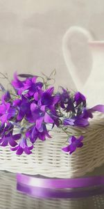 Flowers,Bluebells,Jug,Tape,Basket,Shell