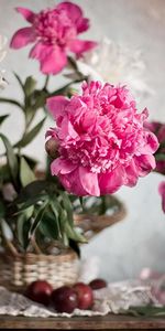 Flowers,Blur,Smooth,Bouquet,Tape,Basket,Peonies