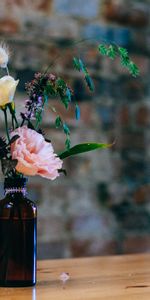 Flowers,Bottle,Vase