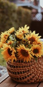 Fleurs,Panier,Tournesol,Bouquet