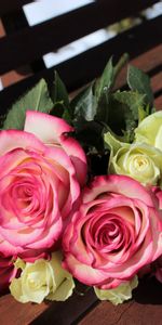 Flowers,Bouquet,Buds,Roses,Bench