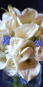 Flowers,Bouquet,Calla,Ranunculus,Ranunkulus,Callas,Combination,Muscari,Muskari