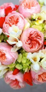 Flowers,Bouquet,Freesias,Peonies,Composition,Freesia,Hydrangea