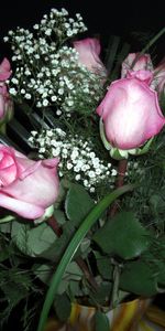 Gypsophile,Gipsophile,Fleurs,Vase,Roses,Bouquet