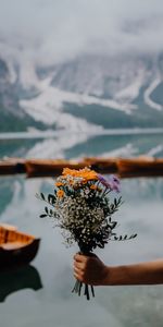 Bouquet,Fleurs,Se Concentrer,Main,Foyer