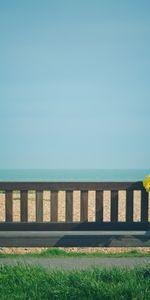 Flores,Banco,Miscelánea,Ramo,Mesa De Trabajo,Misceláneo,Playa