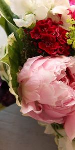 Flowers,Bouquet,Peonies,Freesia