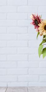 Fleurs,Tournesol,Bouquet,Vase