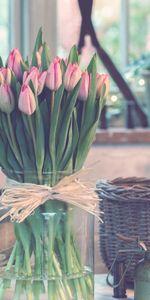 Vase,Bouquet,Tulipes,Fleurs