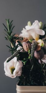 Flowers,Bouquet,Vase,Composition