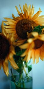 Flowers,Bouquet,Vase,Sunflowers