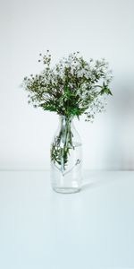 Flowers,Bouquet,Wildflowers,Minimalism