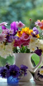 Flowers,Bouquet,Window Sill,Kettle,Teapot,Windowsill,Composition