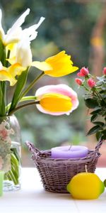 Flowers,Bouquets,Basket,Irises,Roses,Candles,Vase,Tulips