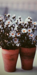 Flowers,Bouquets,Blur,Smooth,Vase