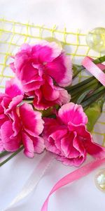 Flowers,Bouquets,Carnations,Plants