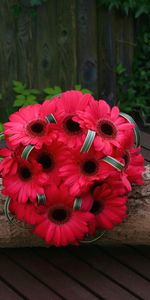 Flowers,Bouquets,Gerberas,Log