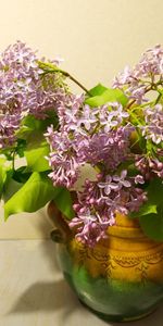 Lilas,Branches,Bouquet,Source,Fleurs,Vase,Printemps