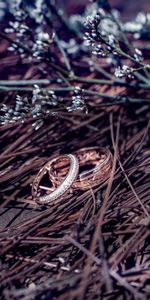 Flowers,Branches,Wedding Rings,Holidays,Gold