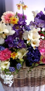 Flowers,Bright,Beautiful,Bouquet,Basket,Different