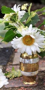 Flowers,Bud,Bouquet,Vase,Camomile