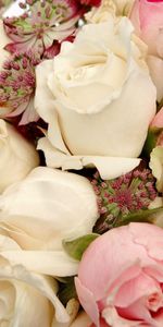 Flowers,Buds,Roses,Close Up,Bouquet