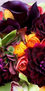 Flowers,Calla,Dahlias,Callas,Orchids,Roses,Bouquet,Composition