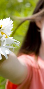 Flowers,Camomile,People,Plants,Children