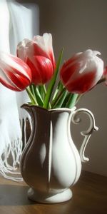 Flowers,Chair,Jug,Bicolor,Two Colored,Stole,Tulips