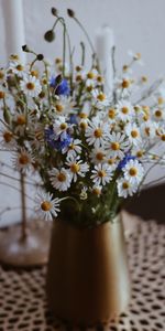 Flowers,Chamomile,Wildflowers,Vase,Camomile