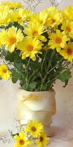 Flowers,Chrysanthemum,Bouquet,Gipsophile,Gypsophilus,Vase