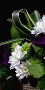 Flowers,Chrysanthemum,Bouquet,Orchids,Greens