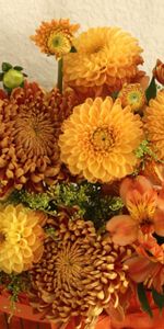 Flowers,Chrysanthemum,Bright,Alstroemeria,Composition