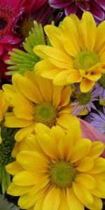 Flowers,Chrysanthemum,Gerberas,Bright,Bouquet,Colorful,Close Up,Colourful