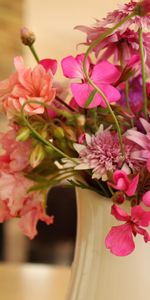 Flowers,Chrysanthemum,Gerberas,Close Up,Bouquet,Jug