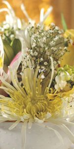 Flowers,Chrysanthemum,Lilies,Bouquet,Bowl,Gipsophile,Tenderness,Close Up,Gypsophilus,Lily Of The Valley