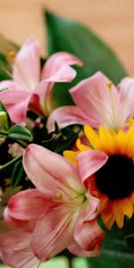 Flowers,Chrysanthemum,Lilies,Bouquet,Sunflower,Bucket