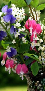 Muguet,Gros Plan,Légumes Verts,Fleurs,Fermer,Verdure,Bouquet,Vase