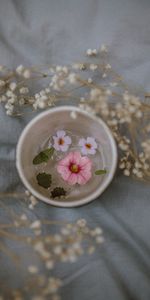 Flowers,Cloth,Creative,Glass