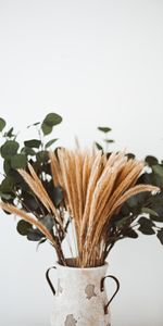 Flowers,Cones,Branches,Bouquet,Vase,Composition,Spikelets