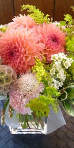 La Diversité,Variété,Théier,Arbre À Thé,Dahlias,Plateau,Fleurs,Vase