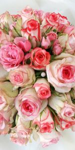 Flowers,Decorations,Tenderness,Lisianthus Russell,Lisiantus Russell,Bouquet,Roses