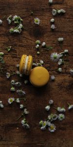 Macaroni,Pâtes,Camomille,Gâteau,Fleurs,Nourriture,Désert