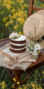 Jasmin,Gâteau,Chapeau,Fleurs,Nourriture,Désert,Still Life