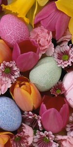 Eggs,Fleurs,Contexte,Plantes,De Pâques