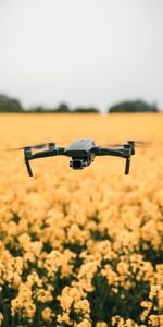 Flowers,Flight,Quadcopter,Drone,Field,Technologies,Technology