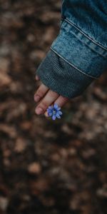 Flowers,Flower,Flowering,Hand,Bloom